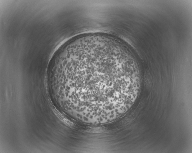 X0000056341460200509161723