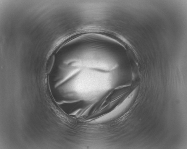 X0000056341461200509161723