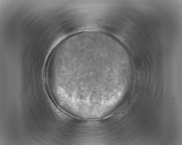 X0000056341466200509161723