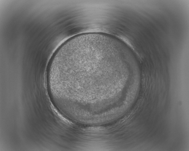 X0000056341468200509161723