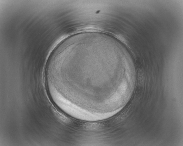 X0000056341474200509161723