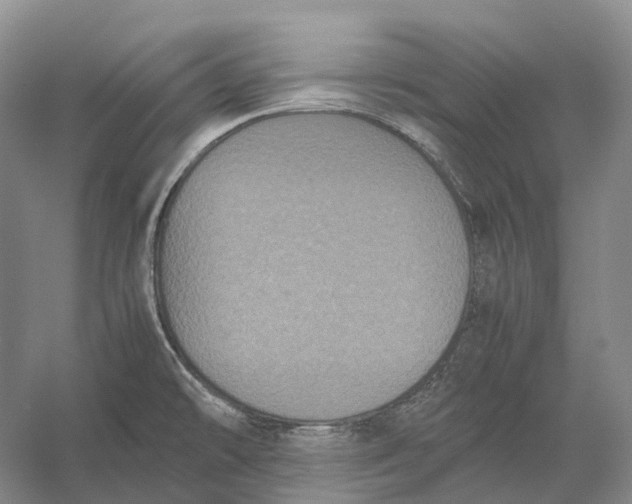 X0000056341478200509161723