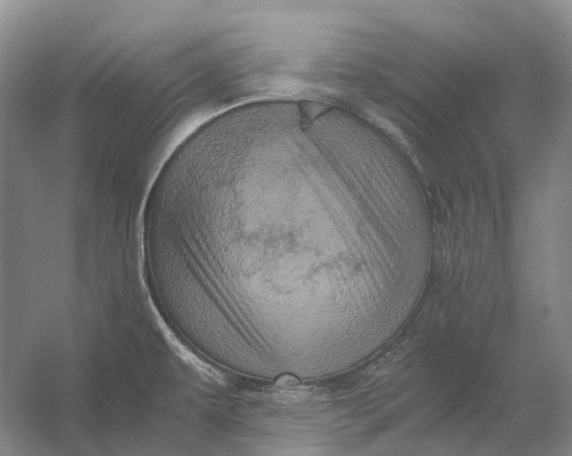 X0000056341479200509161723