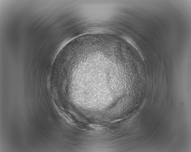 X0000056341481200509161723