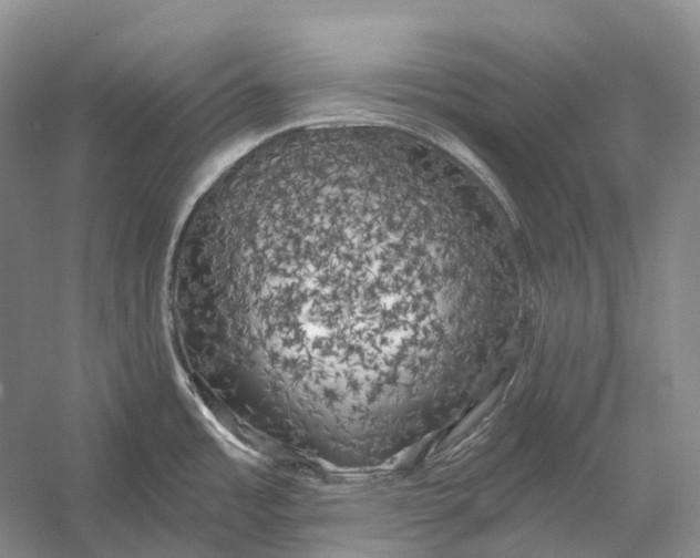 X0000056341485200509161722