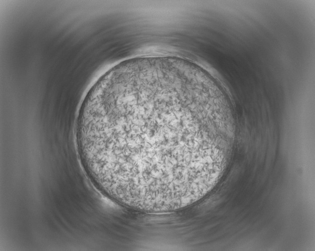 X0000056341486200509161722