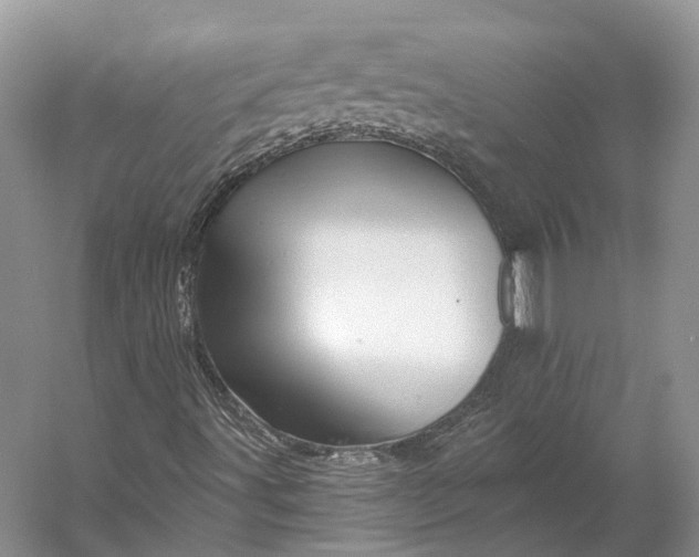 X0000056341491200509161722