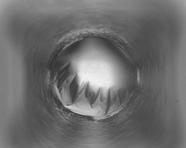 X0000056341492200509161722