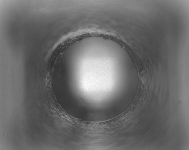 X0000056341495200509161722