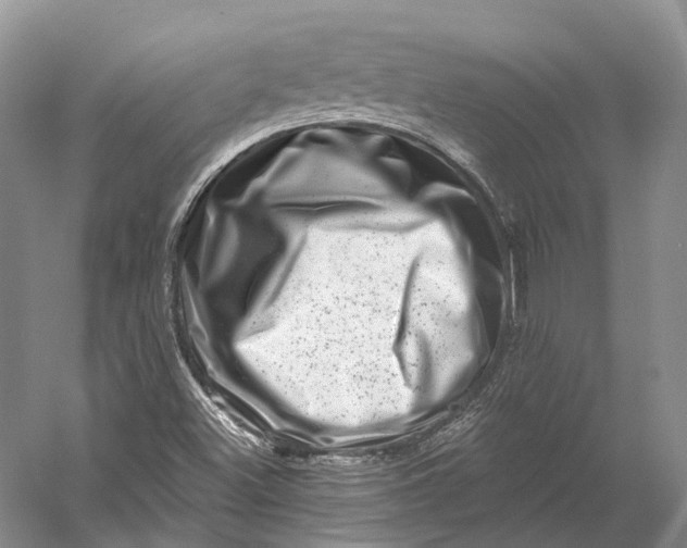 X0000056341500200509161722