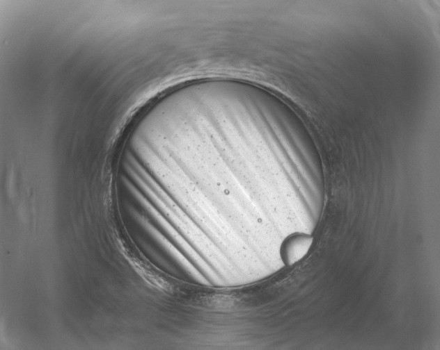 X0000056341507200509161722