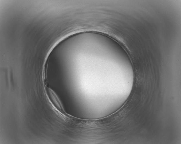 X0000056341516200509161722