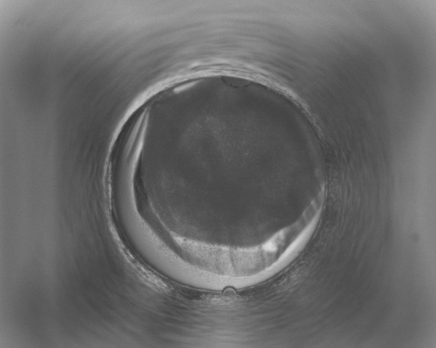 X0000056341522200509161722