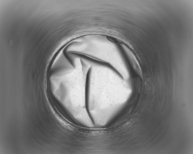 X0000056341523200509161722