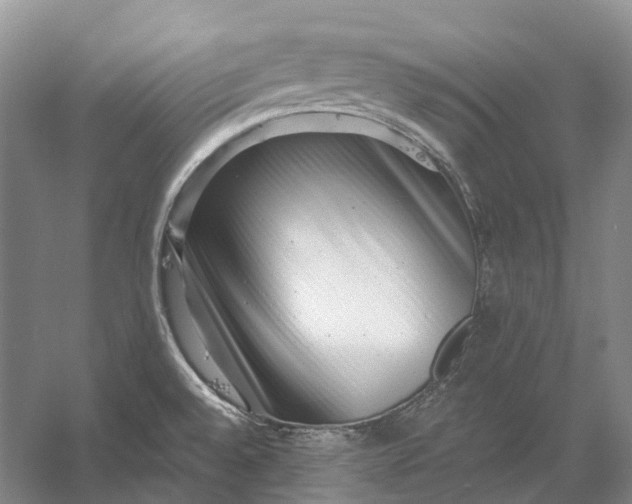 X0000056341528200509161722