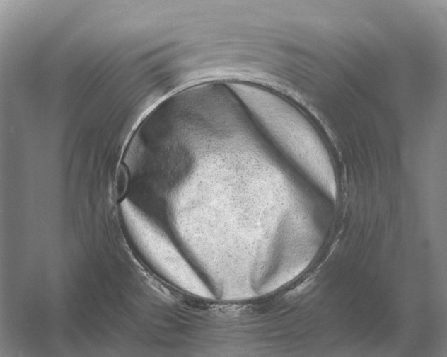 X0000056341529200509161722