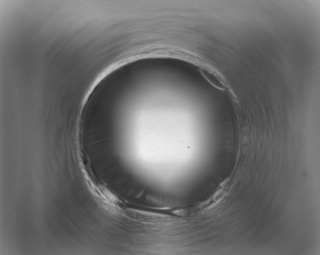 X0000056341530200509161722