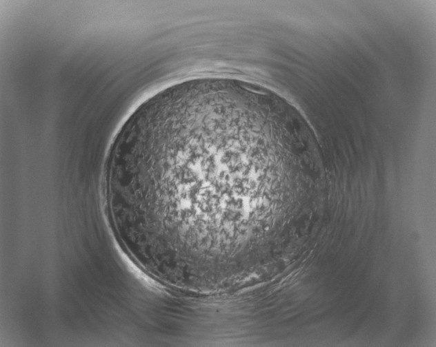 X0000056341531200509161722