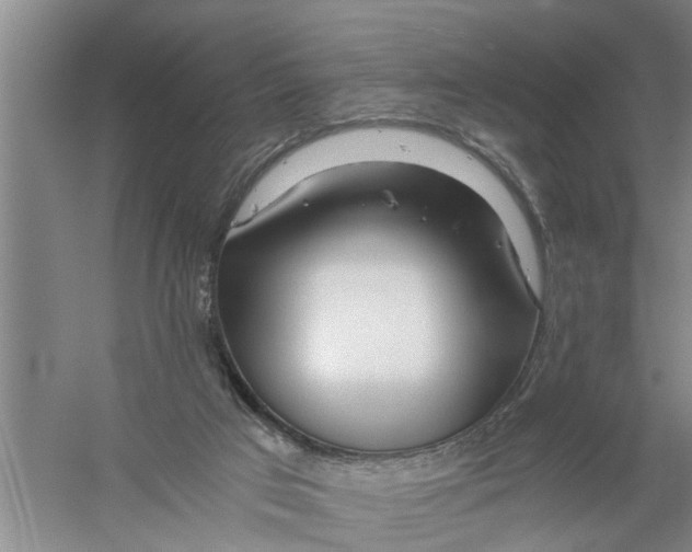 X0000056340017200509232051