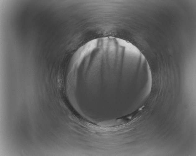 X0000056340039200509232051