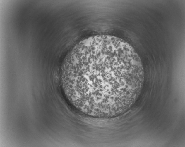 X0000056340040200509232051