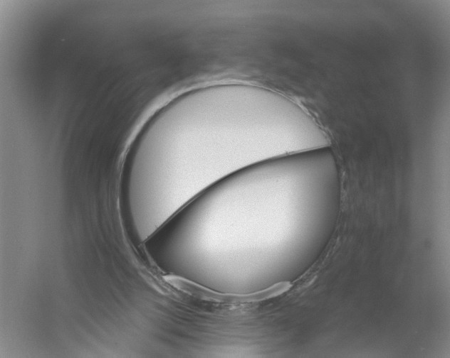 X0000056340056200509232050