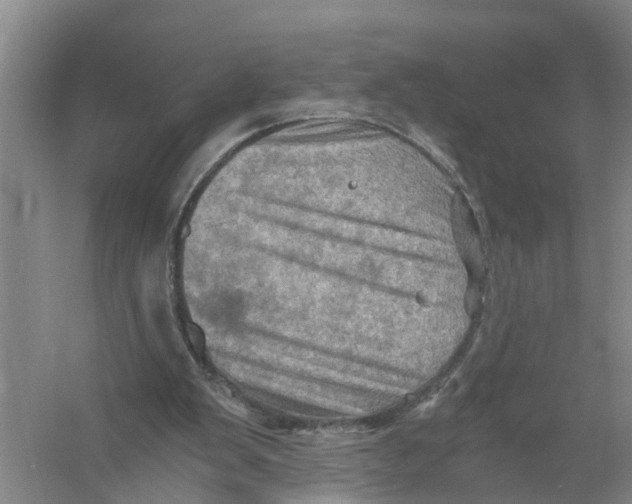 X0000056340103200509232049