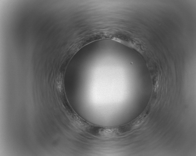 X0000056340129200509232049