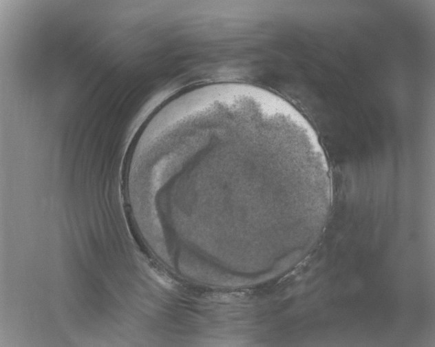 X0000056340147200509232048