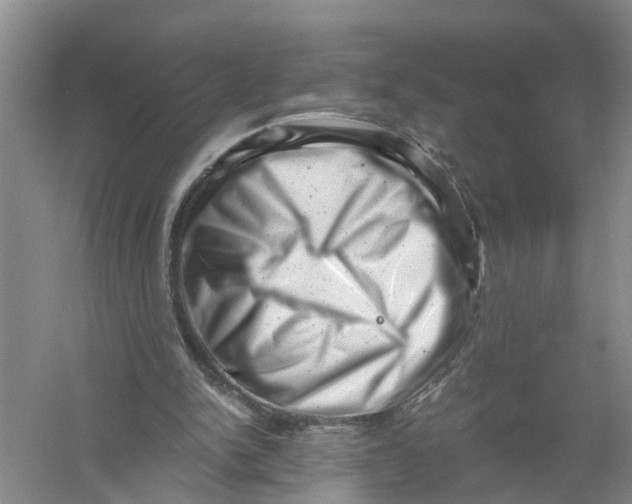 X0000056340150200509232048