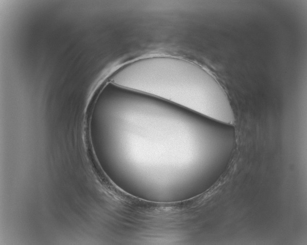 X0000056340152200509232048