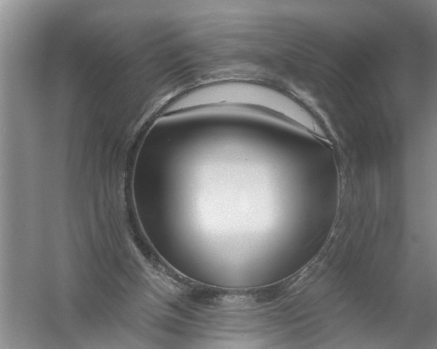 X0000056340154200509232048