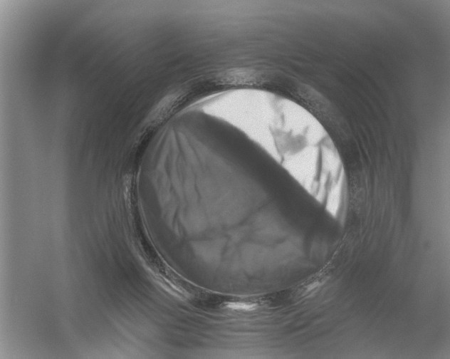 X0000056340167200509232048