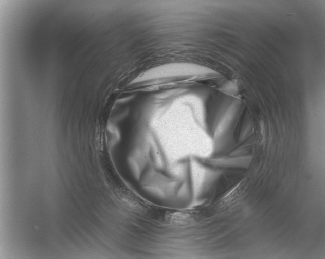 X0000056340180200509232049