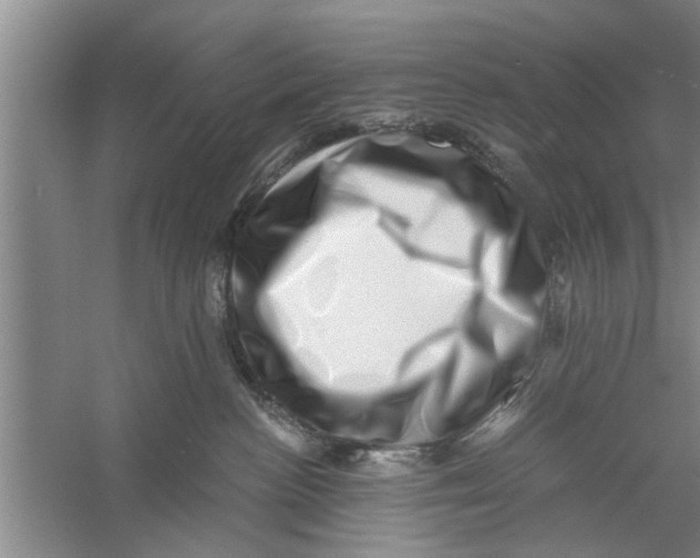 X0000056340188200509232049