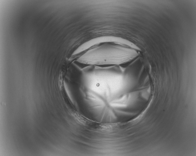 X0000056340190200509232049