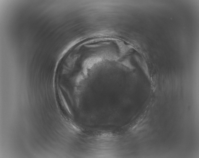 X0000056340196200509232048