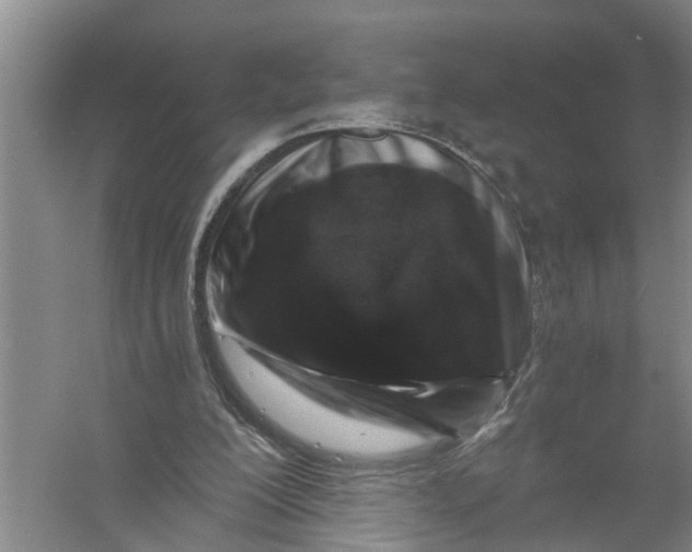X0000056340200200509232048