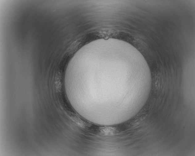 X0000056340226200509232047