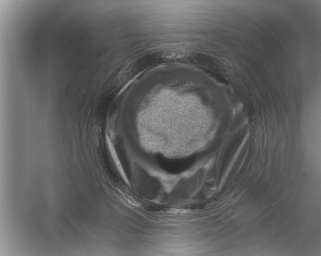 X0000056340227200509232047