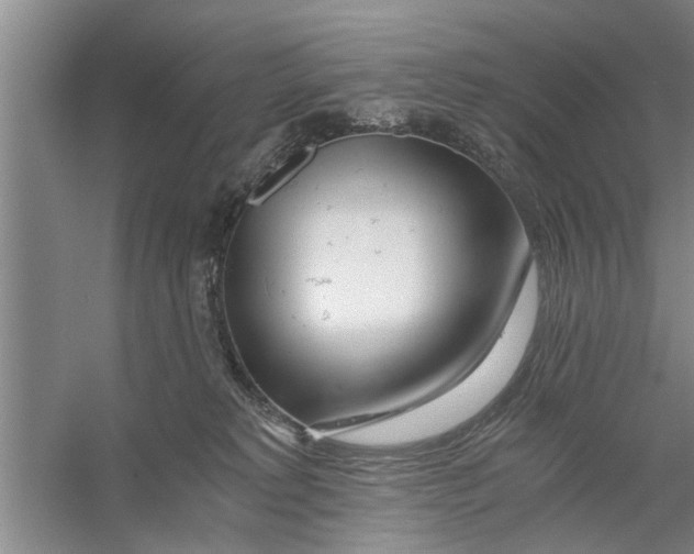 X0000056340229200509232047