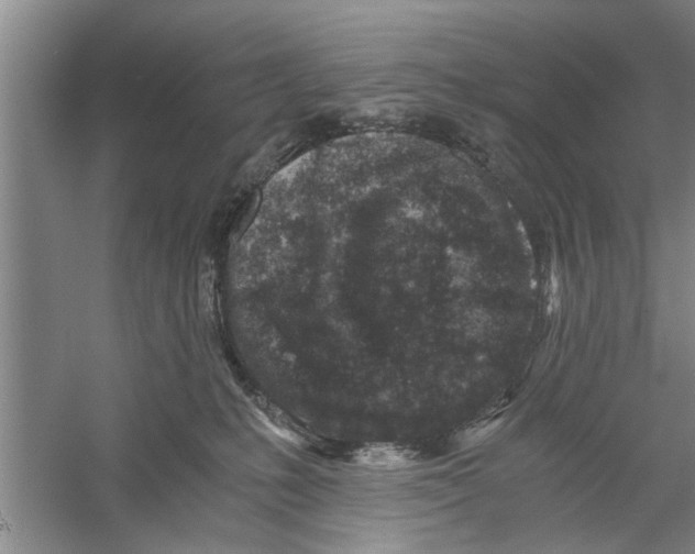 X0000056340231200509232047