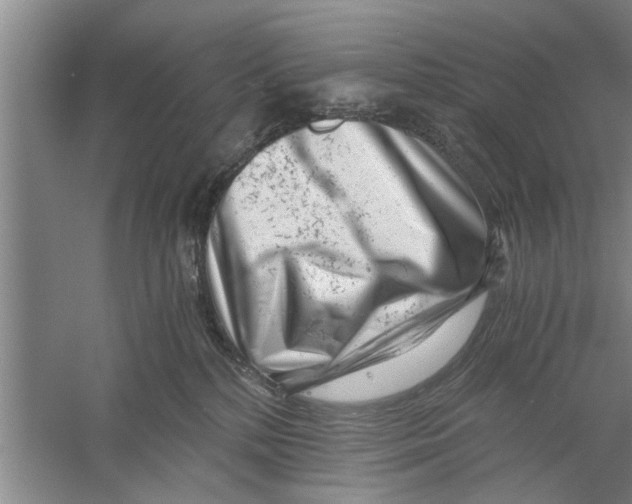 X0000056340232200509232047