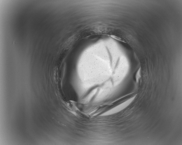 X0000056340233200509232047