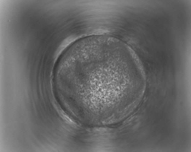 X0000056340242200509232046