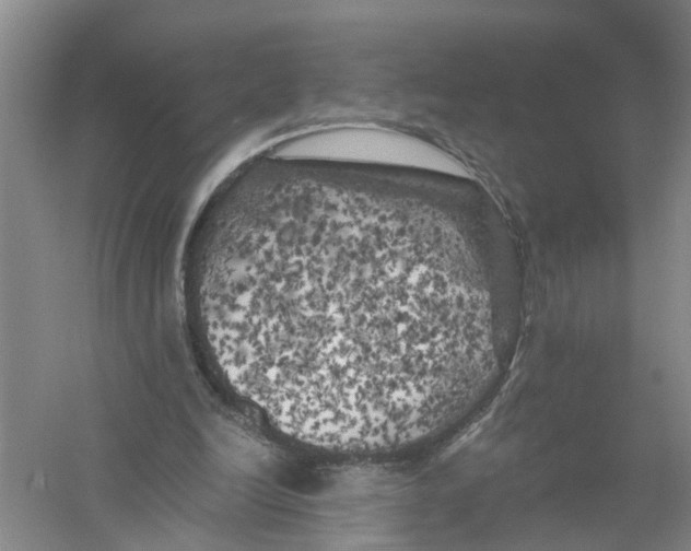 X0000056340246200509232046