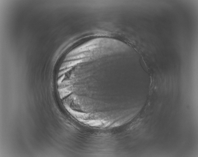 X0000056340247200509232046
