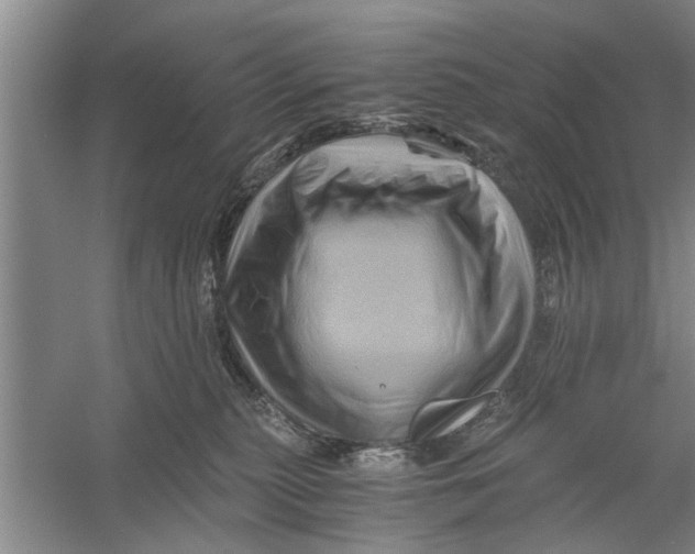 X0000056340279200509232047