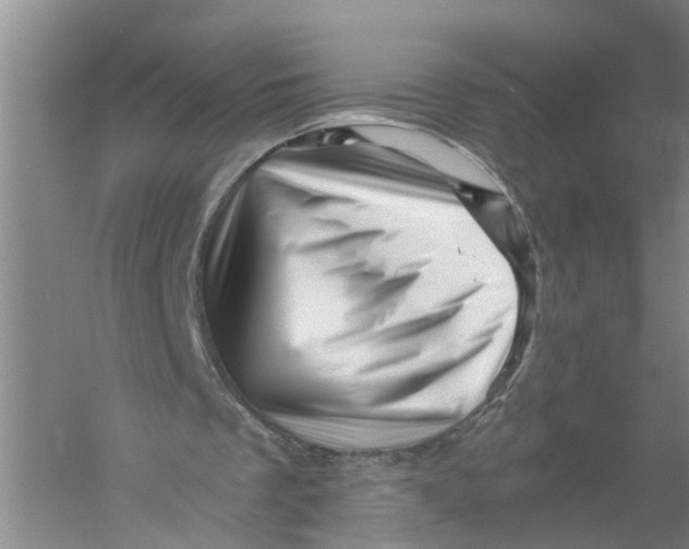 X0000056340289200509232046