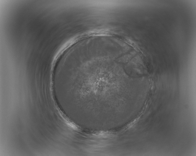 X0000056340293200509232046